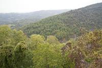 Cjp_2013_10_12_121950.jpg