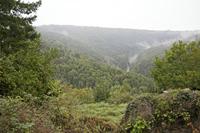 Cjp_2013_10_12_122822.jpg