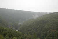 Cjp_2013_10_12_122944.jpg