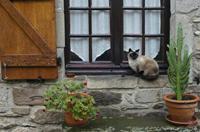 Cjp_2013_10_12_125828.jpg