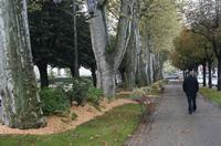 Cjp_2013_10_12_145206.jpg