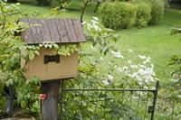 Cjp_2013_10_13_102042.jpg