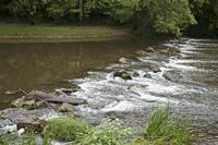 Cjp_2013_10_13_102150.jpg