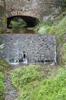 Cjp_2013_10_13_102826.jpg