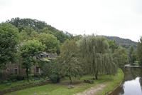 Cjp_2013_10_13_103034.jpg