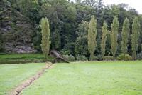 Cjp_2013_10_13_111438.jpg
