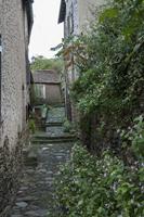 Cjp_2013_10_13_151454.jpg