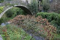 Cjp_2013_10_13_153208.jpg