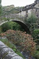 Cjp_2013_10_13_153228.jpg
