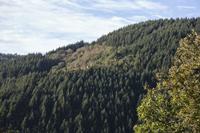 Cjp_2013_10_14_071950.jpg