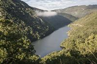 Cjp_2013_10_14_072050.jpg