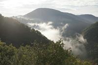 Cjp_2013_10_14_072504.jpg