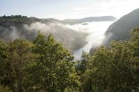 Cjp_2013_10_14_072954.jpg
