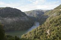 Cjp_2013_10_14_073426.jpg