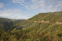 Cjp_2013_10_14_073640.jpg