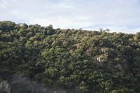 Cjp_2013_10_14_074014.jpg
