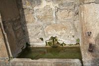 Cjp_2013_10_14_090050.jpg
