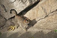 Cjp_2013_10_14_090236.jpg