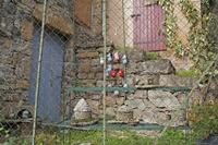 Cjp_2013_10_14_090350.jpg