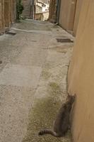 Cjp_2013_10_14_090702.jpg
