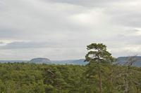 Cjp_2013_10_14_110228.jpg