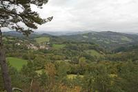 Cjp_2013_10_14_115802.jpg