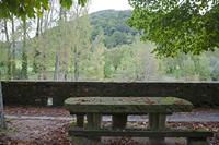 Cjp_2013_10_14_125000.jpg