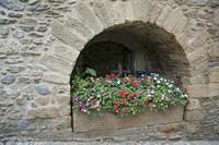 Cjp_2013_10_14_125902.jpg
