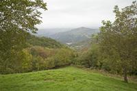 Cjp_2013_10_14_134432.jpg