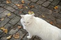 Cjp_2013_10_14_142834.jpg