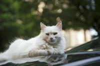 Cjp_2013_10_14_143028.jpg