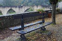 Cjp_2013_10_15_062710.jpg