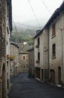 Cjp_2013_10_15_070146.jpg