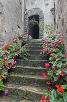 Cjp_2013_10_15_070408.jpg