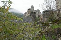 Cjp_2013_10_15_071102.jpg