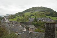 Cjp_2013_10_15_071144.jpg