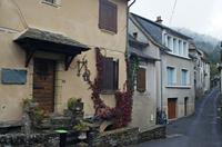 Cjp_2013_10_15_071356.jpg