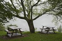 Cjp_2013_10_15_090950.jpg