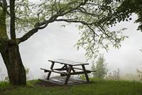 Cjp_2013_10_15_090958.jpg
