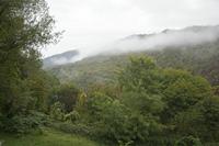 Cjp_2013_10_15_113044.jpg