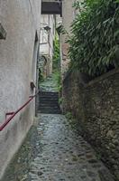 Cjp_2013_10_15_114058.jpg