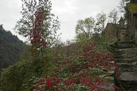 Cjp_2013_10_15_123526.jpg