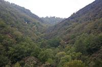 Cjp_2013_10_15_124950.jpg