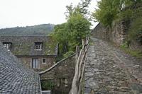 Cjp_2013_10_15_130408.jpg