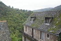 Cjp_2013_10_15_130454.jpg