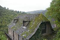 Cjp_2013_10_15_130520.jpg