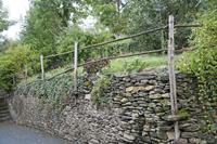 Cjp_2013_10_15_130846.jpg