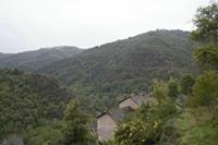 Cjp_2013_10_15_131932.jpg