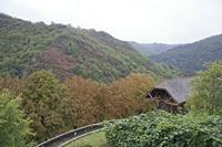 Cjp_2013_10_15_134336.jpg