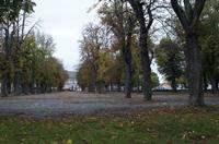 Cjp_2013_10_16_061006.jpg